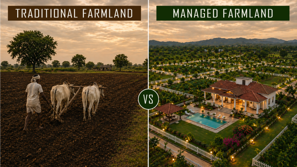 Managed Farmland vs Traditional Land: What Should You Choose?