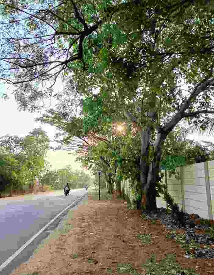 The Green Heart of Prashanta Vana
