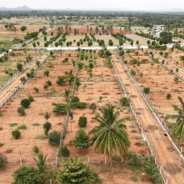 Untitled design (20)